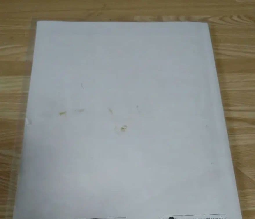 SONY DVCAMビデオカメラ 　DSR-500WS