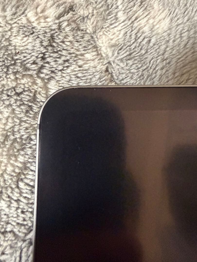 iPad pro 12.9インチ　第3世代