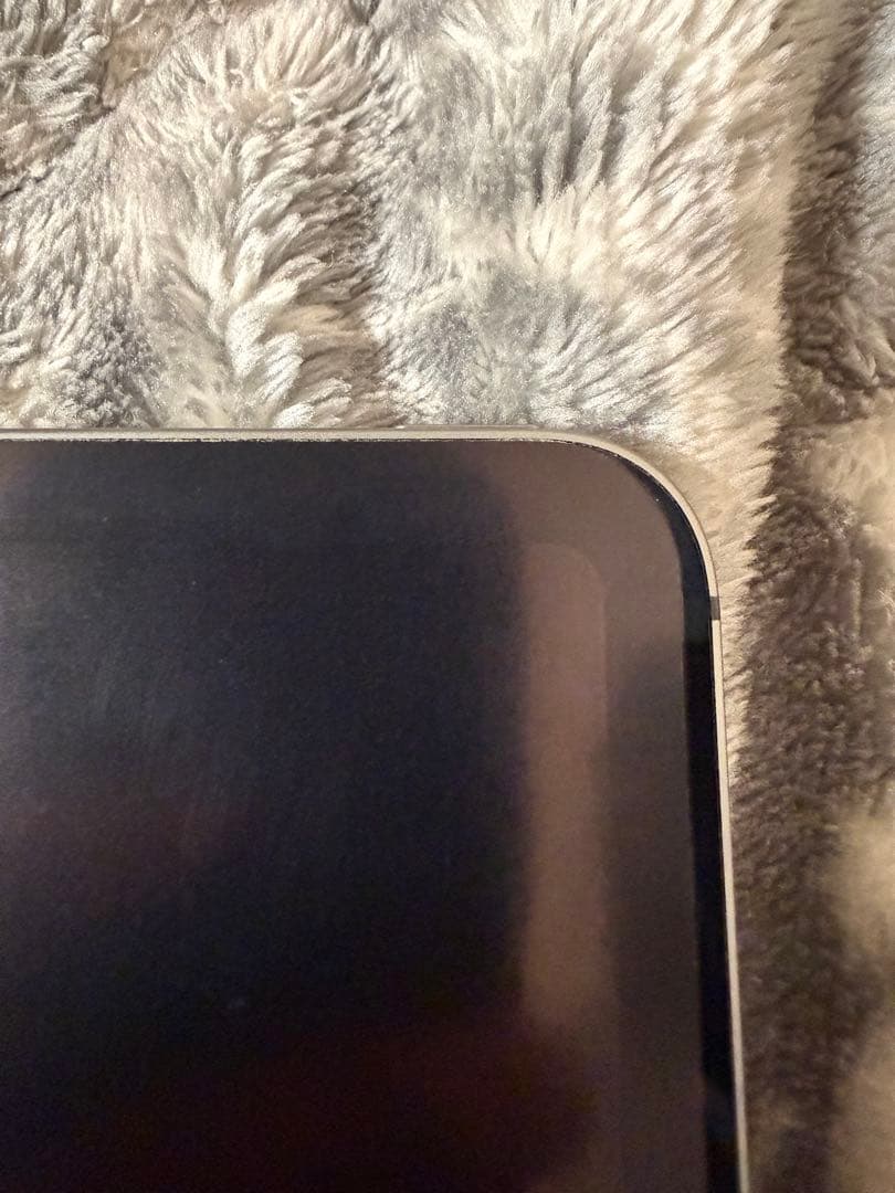 iPad pro 12.9インチ　第3世代