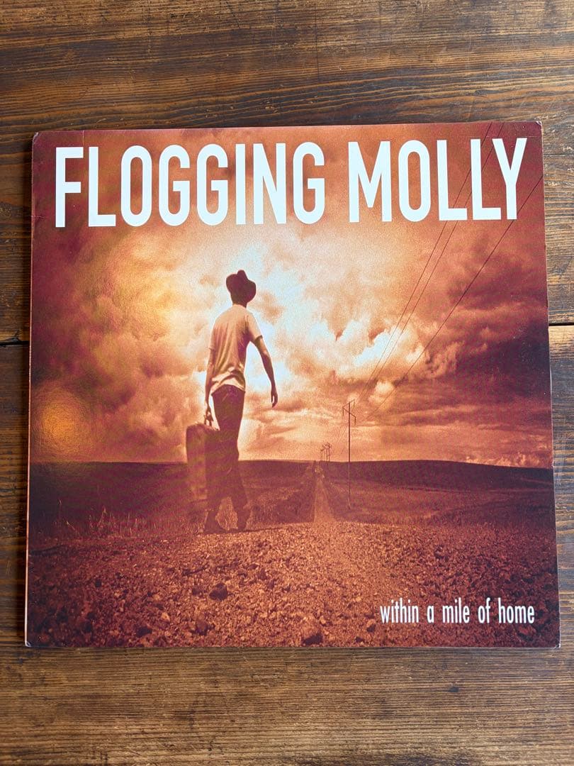 【希少/USオリジナル】Flogging Molly LP original