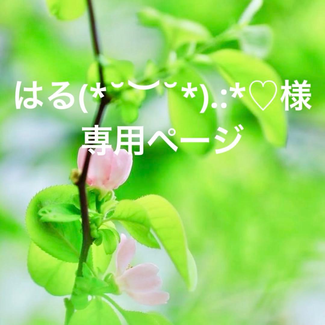 はる(*˘︶˘*).:*♡ページです。