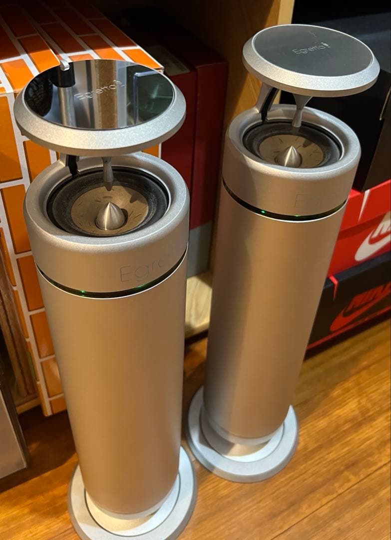 Egretta TS550スピーカー シルバー