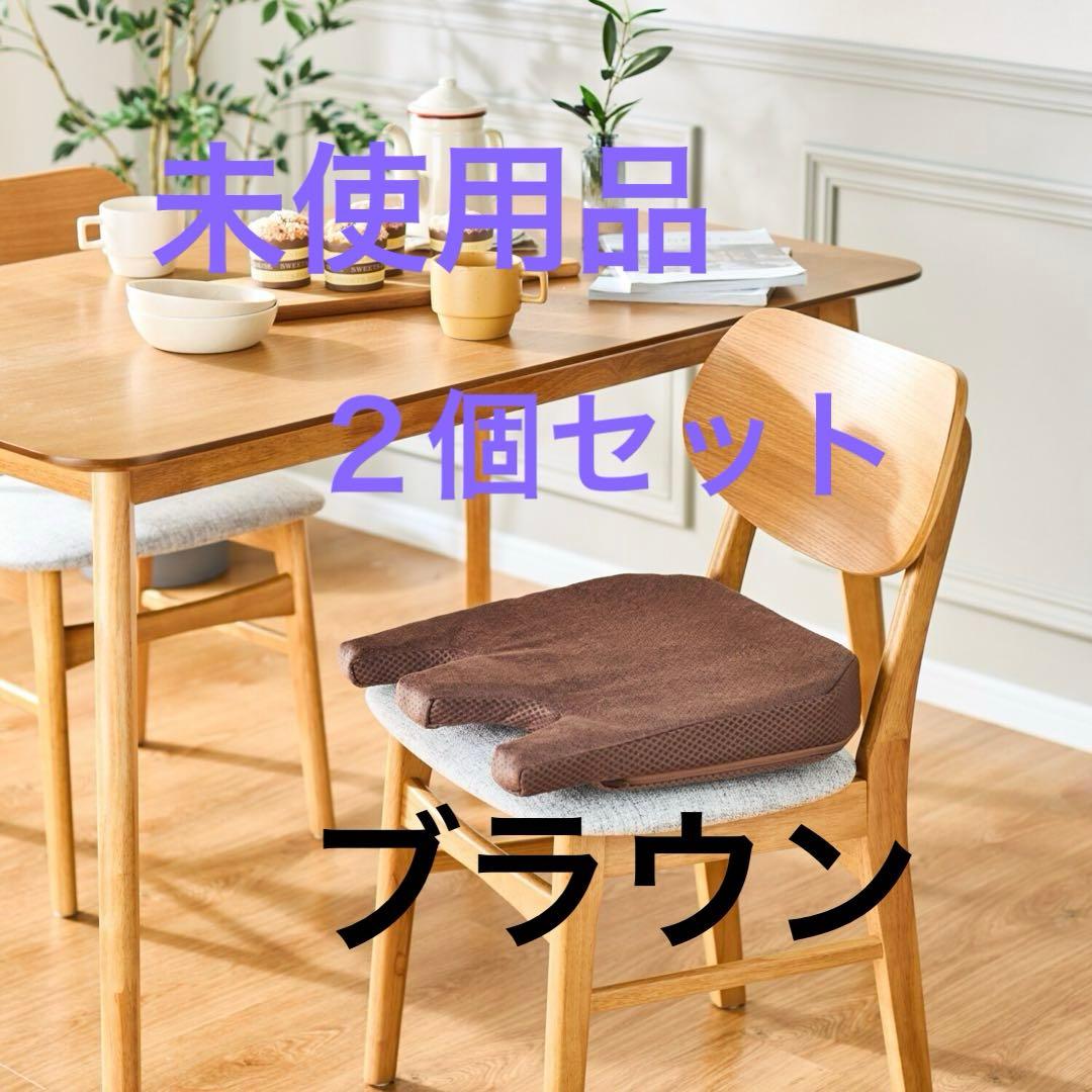 セルプール 座布団　フォー・ユア・ヒップＩＩＩ　ブラウン　２個