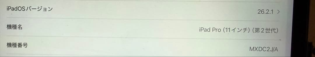 Apple診断済】iPad Pro 11インチ 第2世代 WiFi 256GB