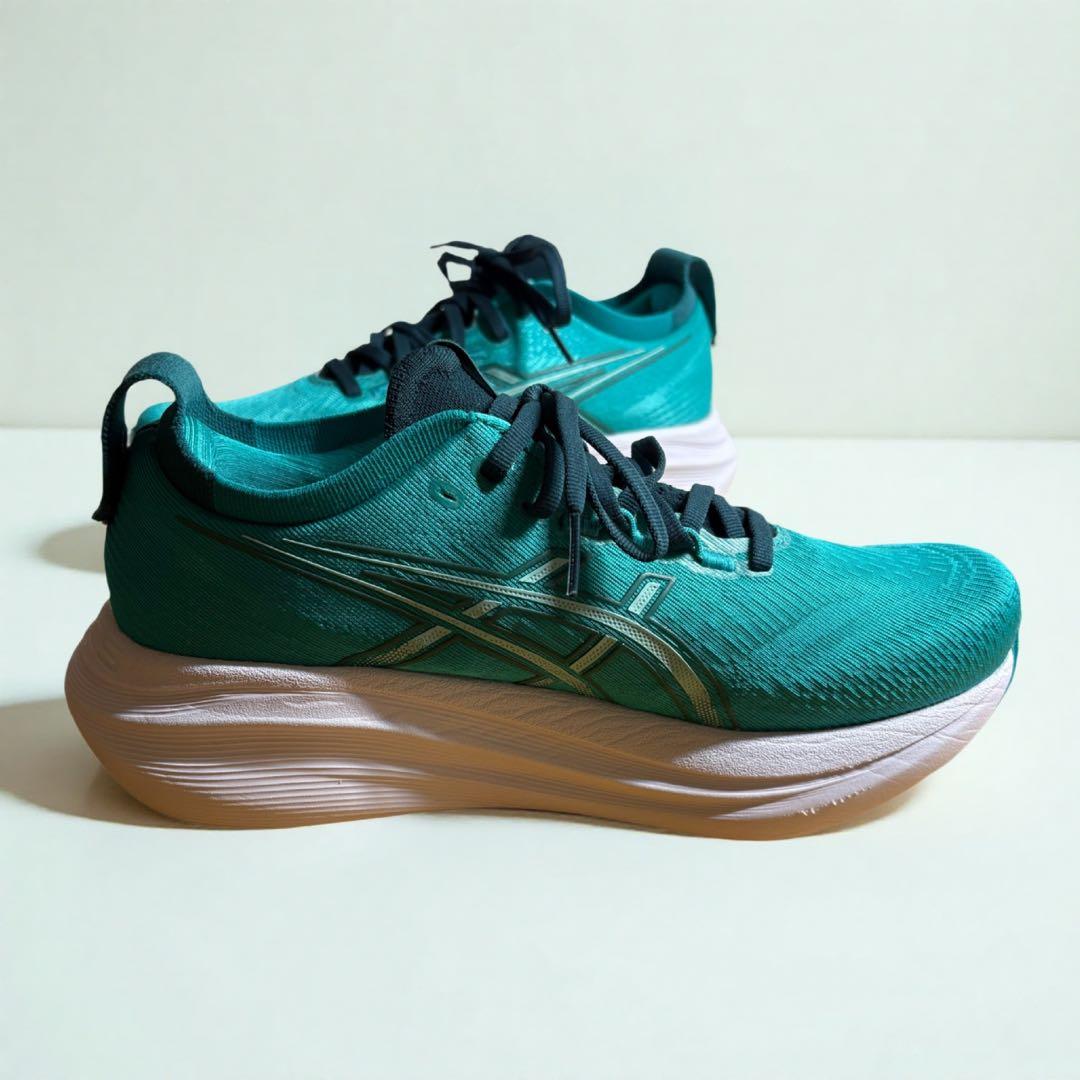 【極美品】ASICS ゲルニンバス27 GEL-NIMBUS 25cm ⚠️状態良