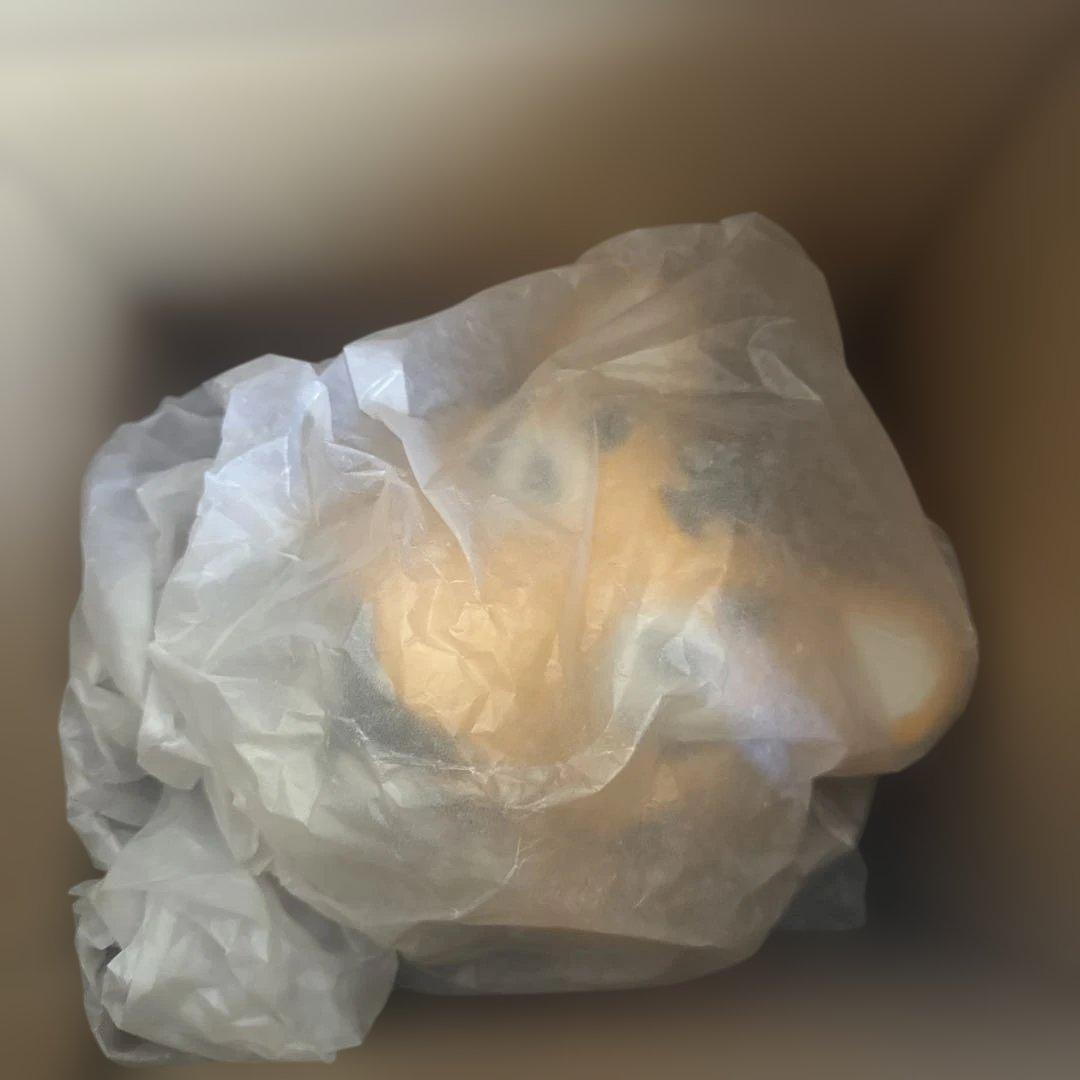 立体・オブジェ HUMANMADE TIGER TROPHYPAPER MACHEDISPLAY