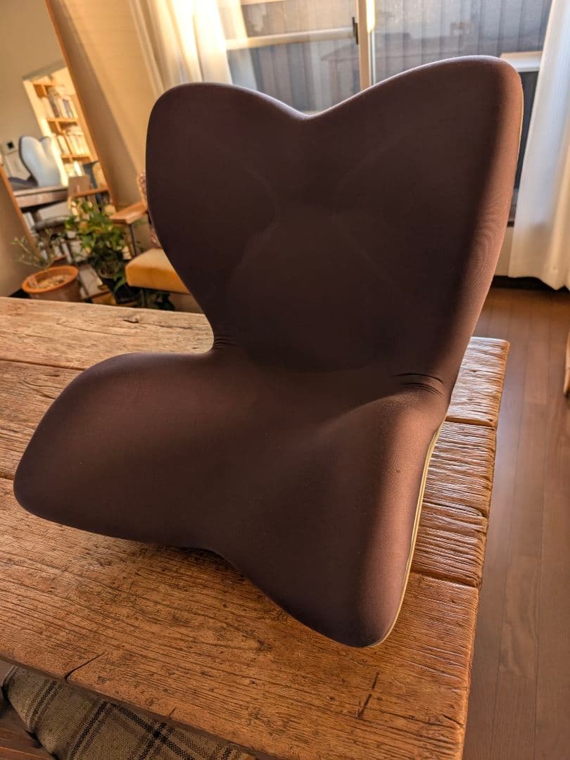 スタイルプレミアム　骨盤・姿勢矯正クッション ブラウン