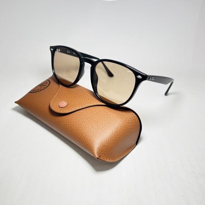 迅速【日本国内正規品】未使用 レイバン サングラス RB4259F-60193