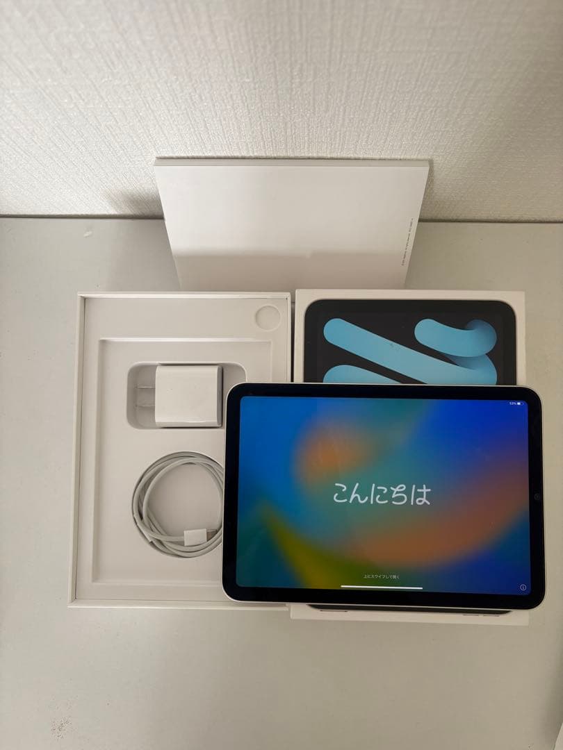 iPad mini6 256GB wifiモデル 本体 充電器付き