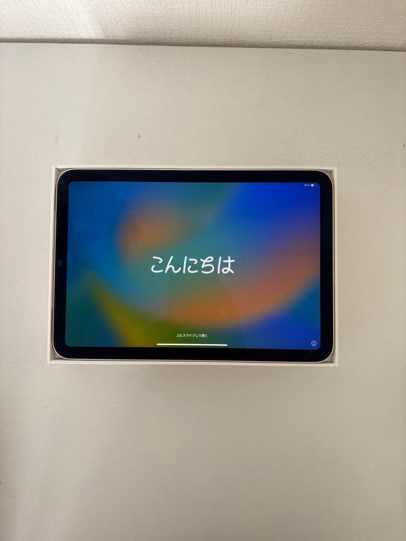 iPad mini6 256GB wifiモデル 本体 充電器付き