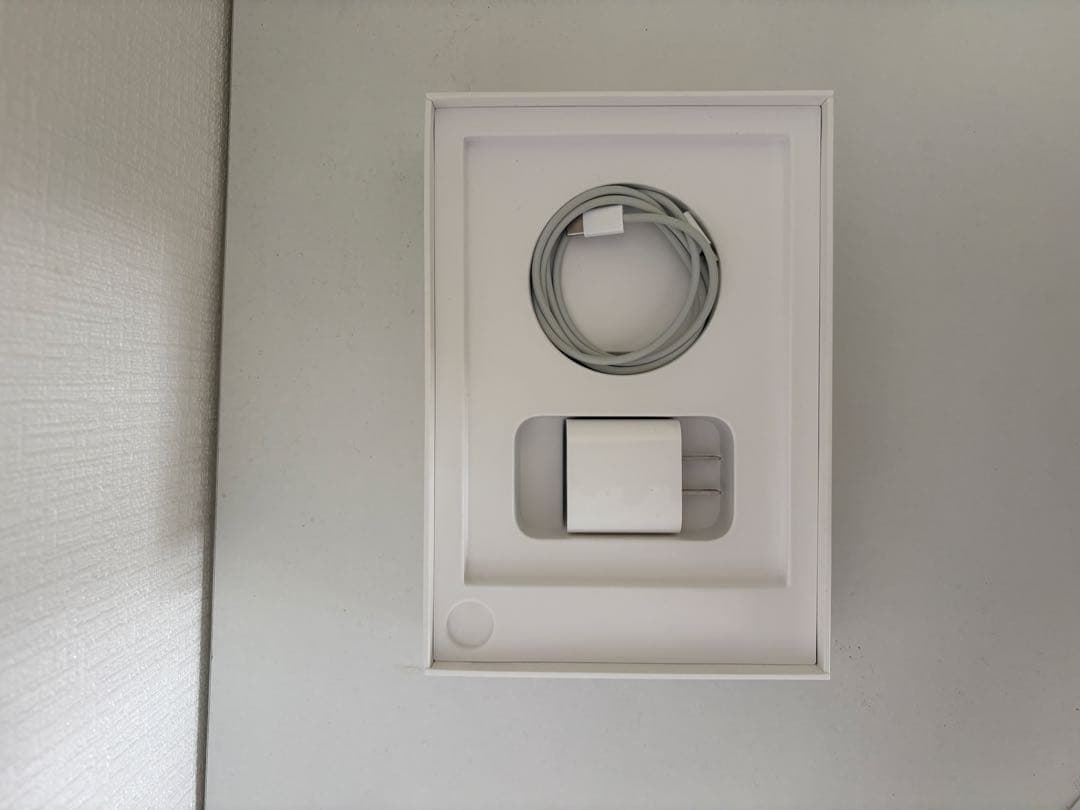 iPad mini6 256GB wifiモデル 本体 充電器付き