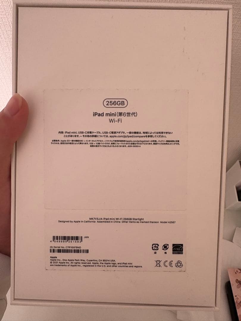 iPad mini6 256GB wifiモデル 本体 充電器付き