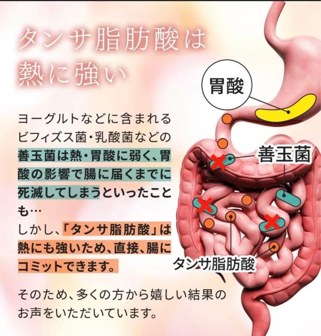 魔法のTANSA 409 ☆ベリー味 短鎖脂肪酸 腸活 乳酸菌★タンサ☆ピーチ