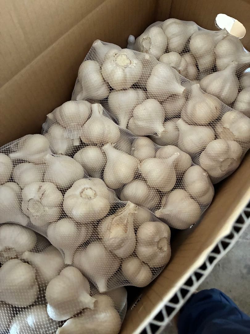 新物　青森県にんにく4キロM.L