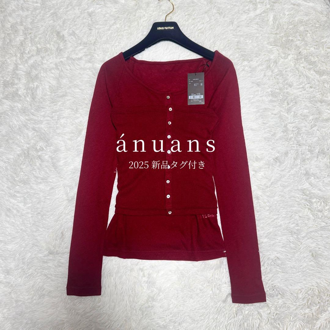 完売品 25年 新品 anuans シアーウールレイヤリングトップス