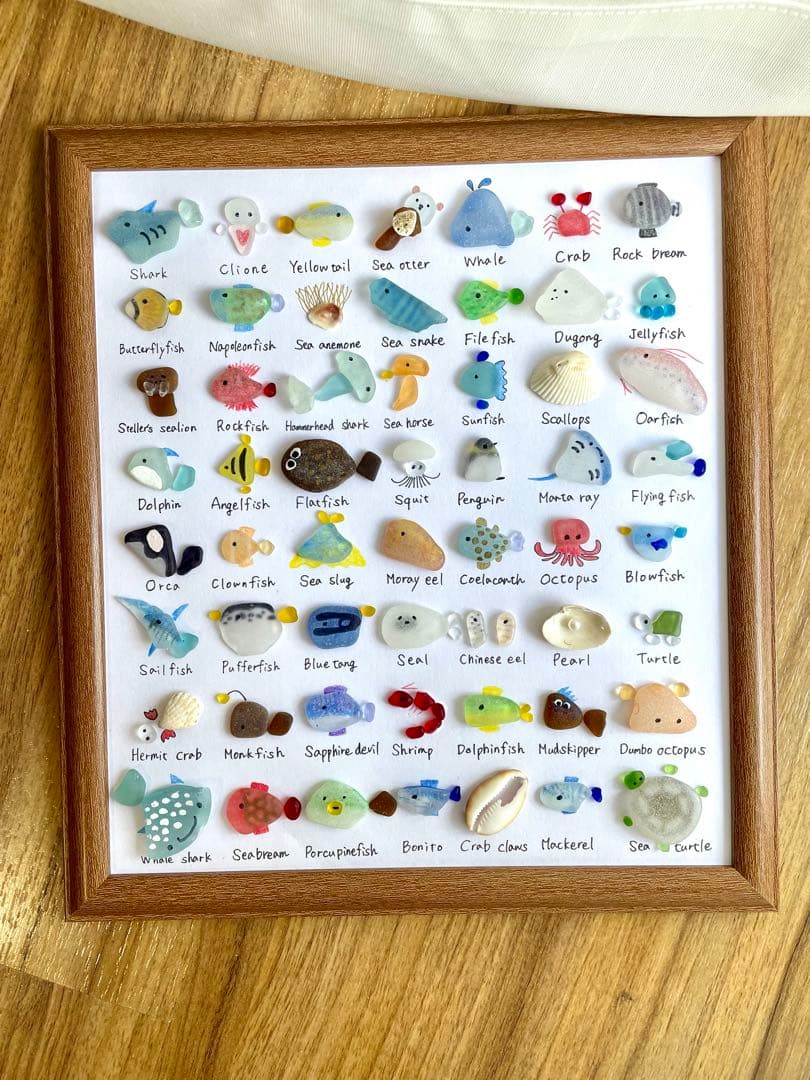 56種類！海の生き物大図鑑！シーグラスアート⭐︎ギフト　プレゼント インテリア