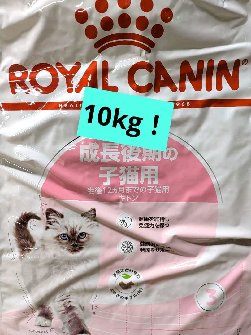  CANIN キトン　10kg