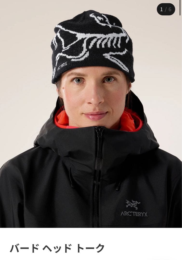 ARC'TERYX Bird Head Toque ニット帽 ビーニー