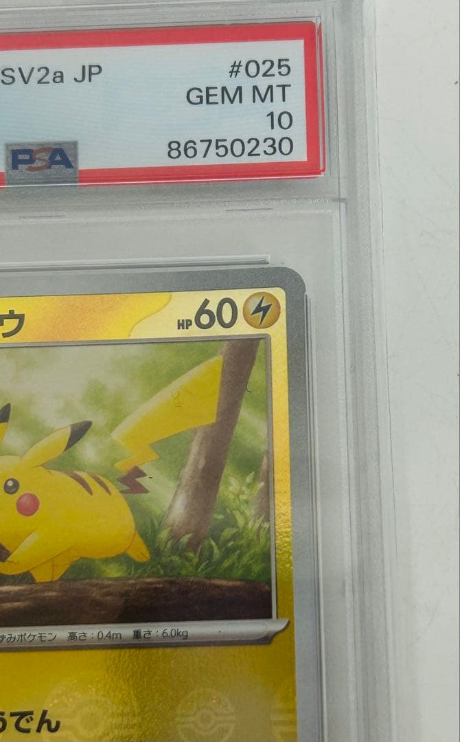 ポケモンカード　ピカチュウ　SV2a モンスターボールミラー　2023