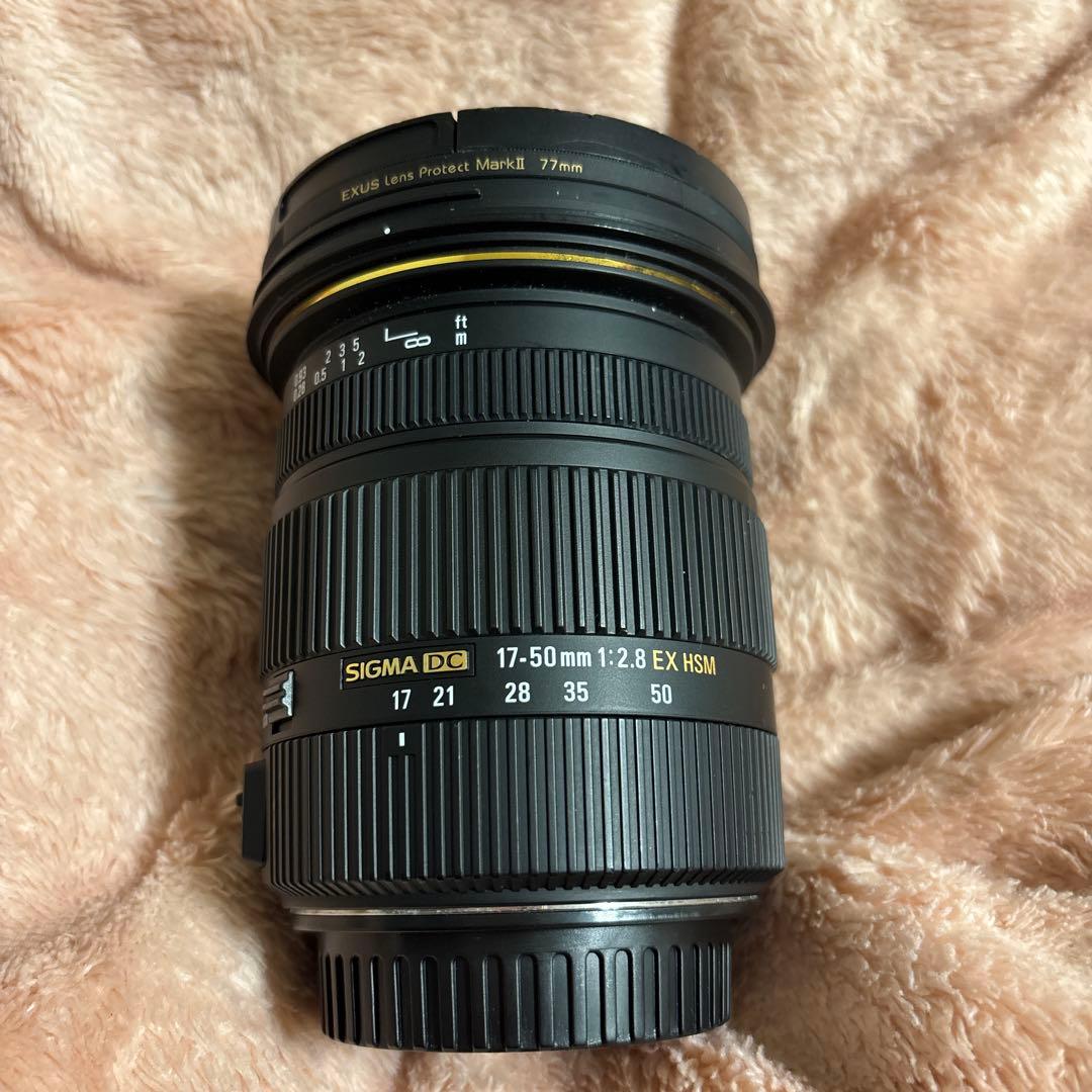 SIGMA 17-50mm f2.8 EX HSM APS-C専用