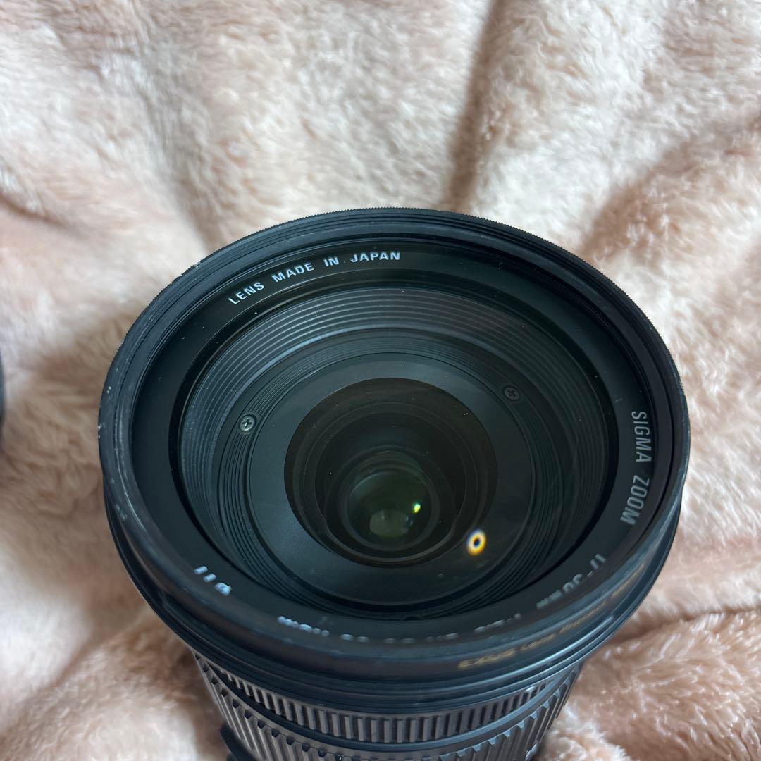 SIGMA 17-50mm f2.8 EX HSM APS-C専用