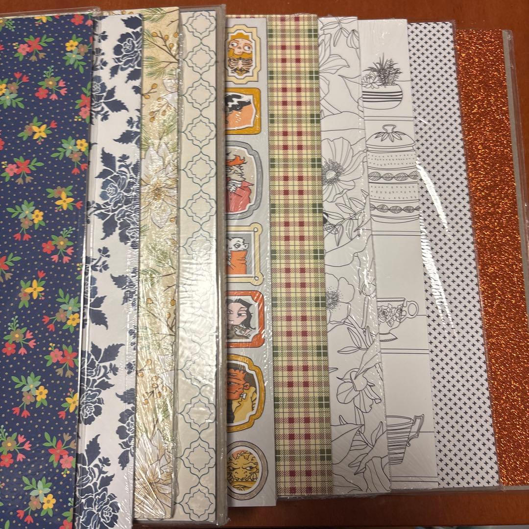 スタンピンアップ　DSP 12インチ　110枚！