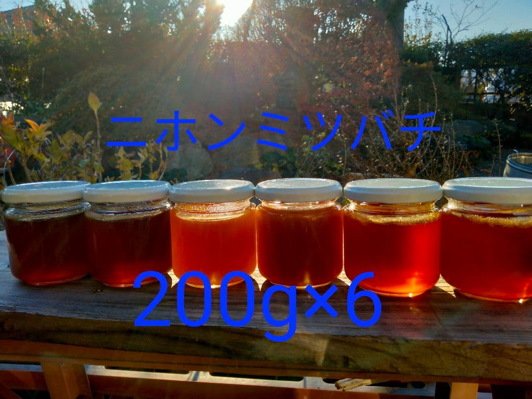 日本蜜蜂　百花蜜　200g×6　天然非加熱　　　ハチミツ
