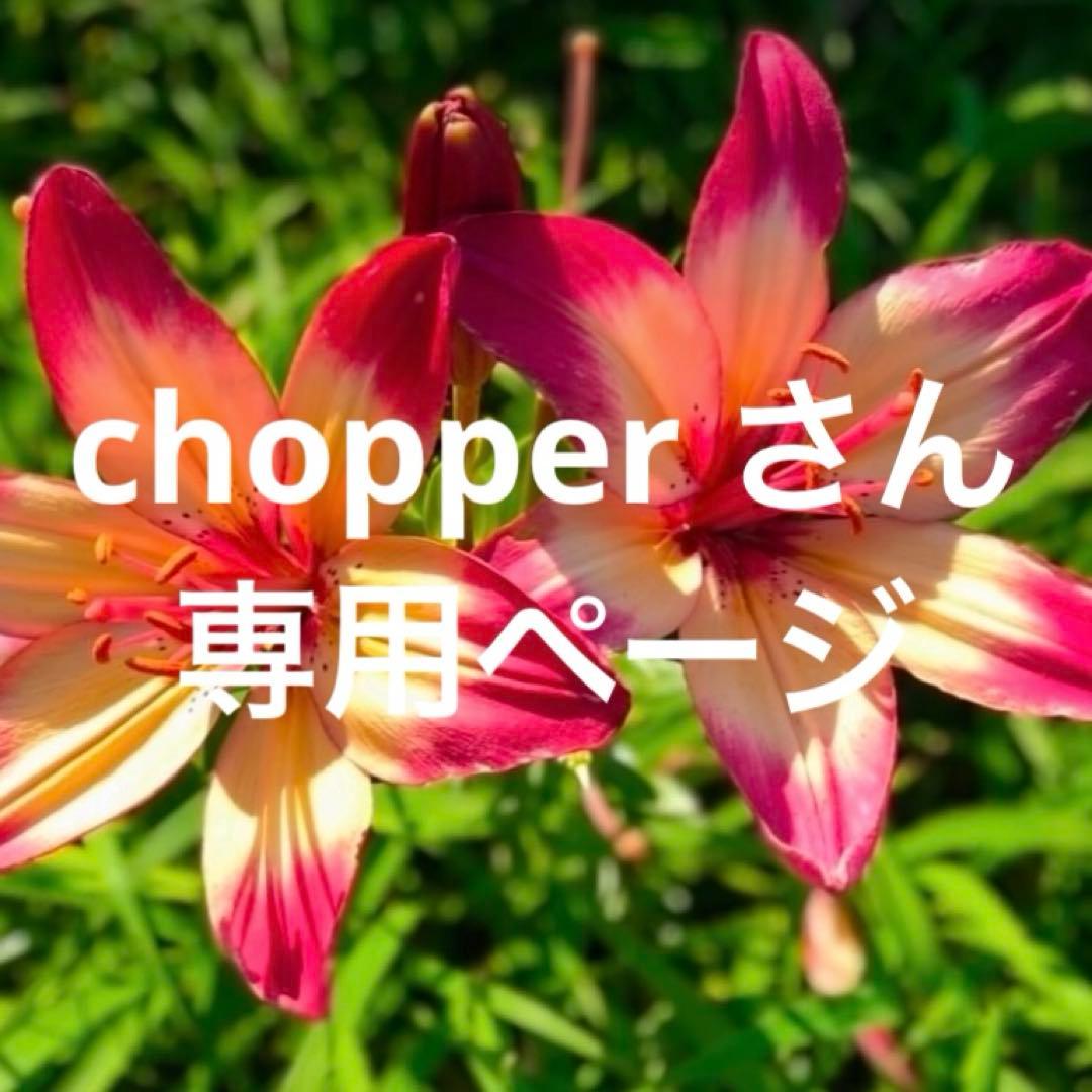 chopper さん