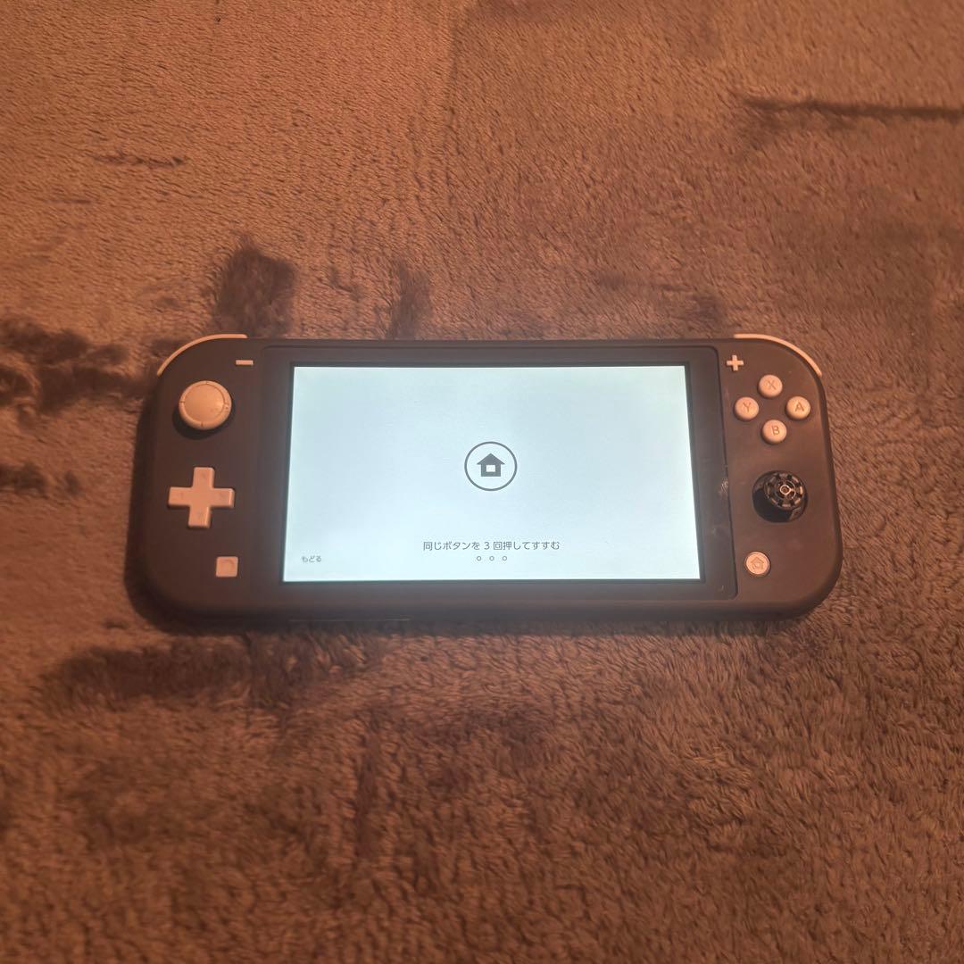 美品 Switch LITE カバー付き 本体 動作確認済み