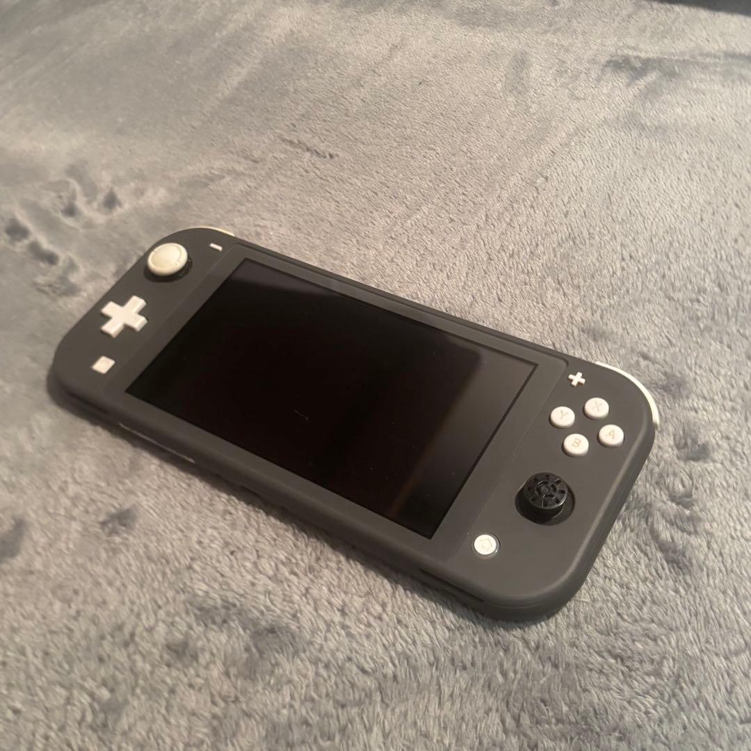 美品 Switch LITE カバー付き 本体 動作確認済み