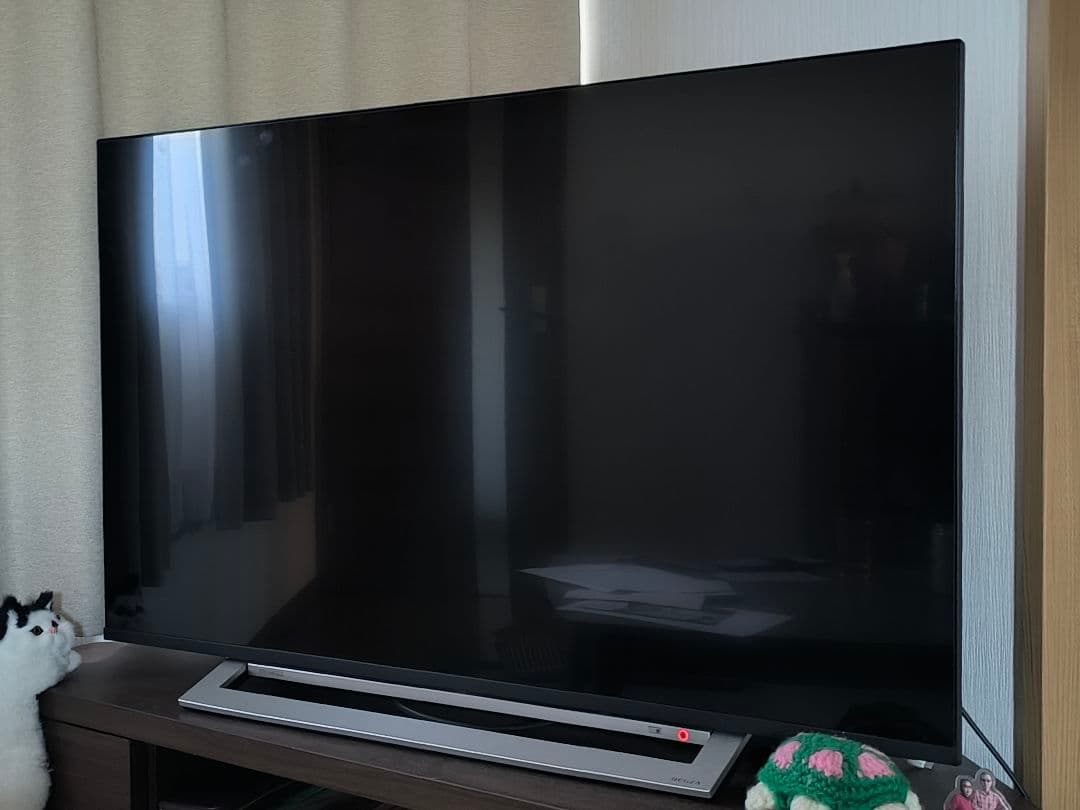 TOSHIBA REGZA 43M540X 訳あり