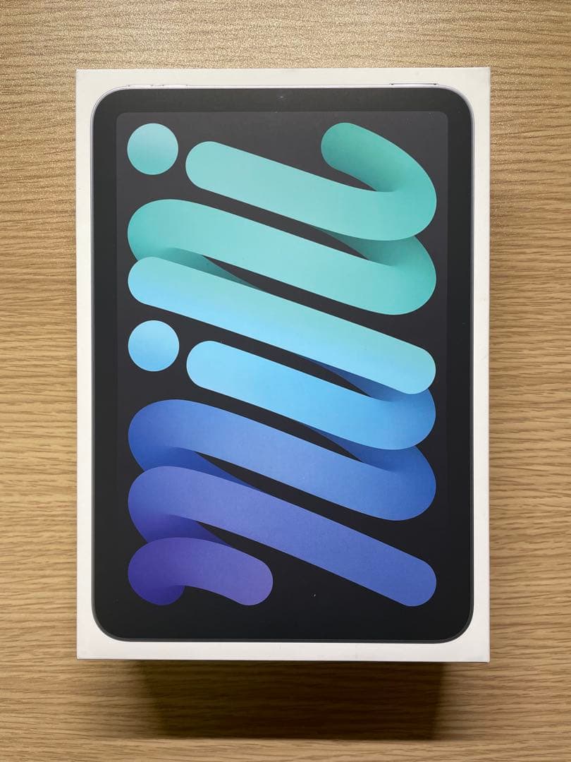 iPad mini A17Pro Wi-Fi 256G ケース複数他付属品あり