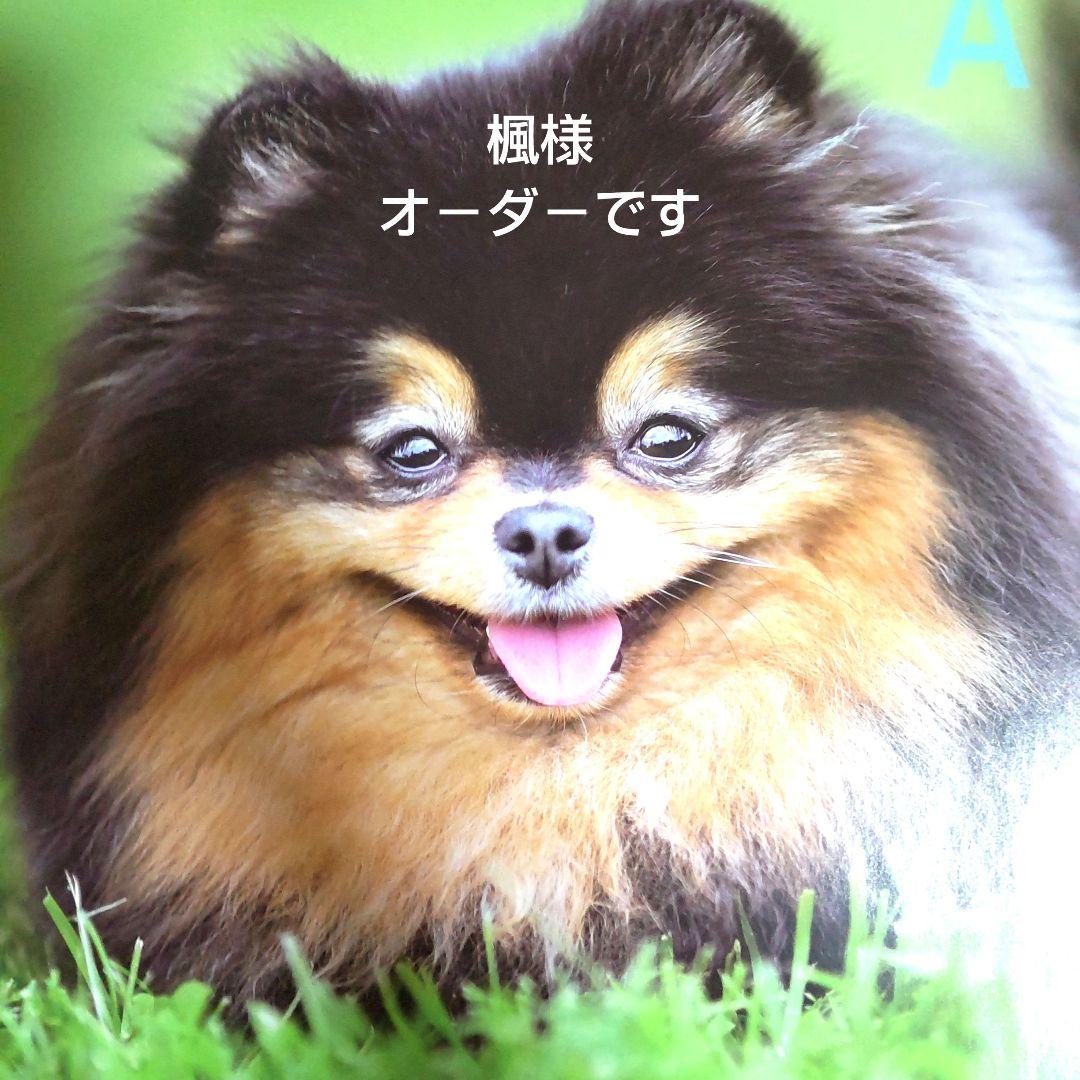 楓様 オ－ダ－ ありがとうございます❤️バレンタインプチギフト