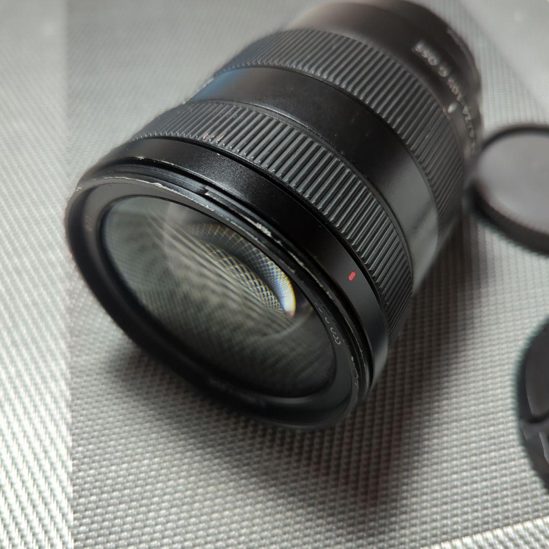 Sony FE 24-105mm F4 G OSS レンズ