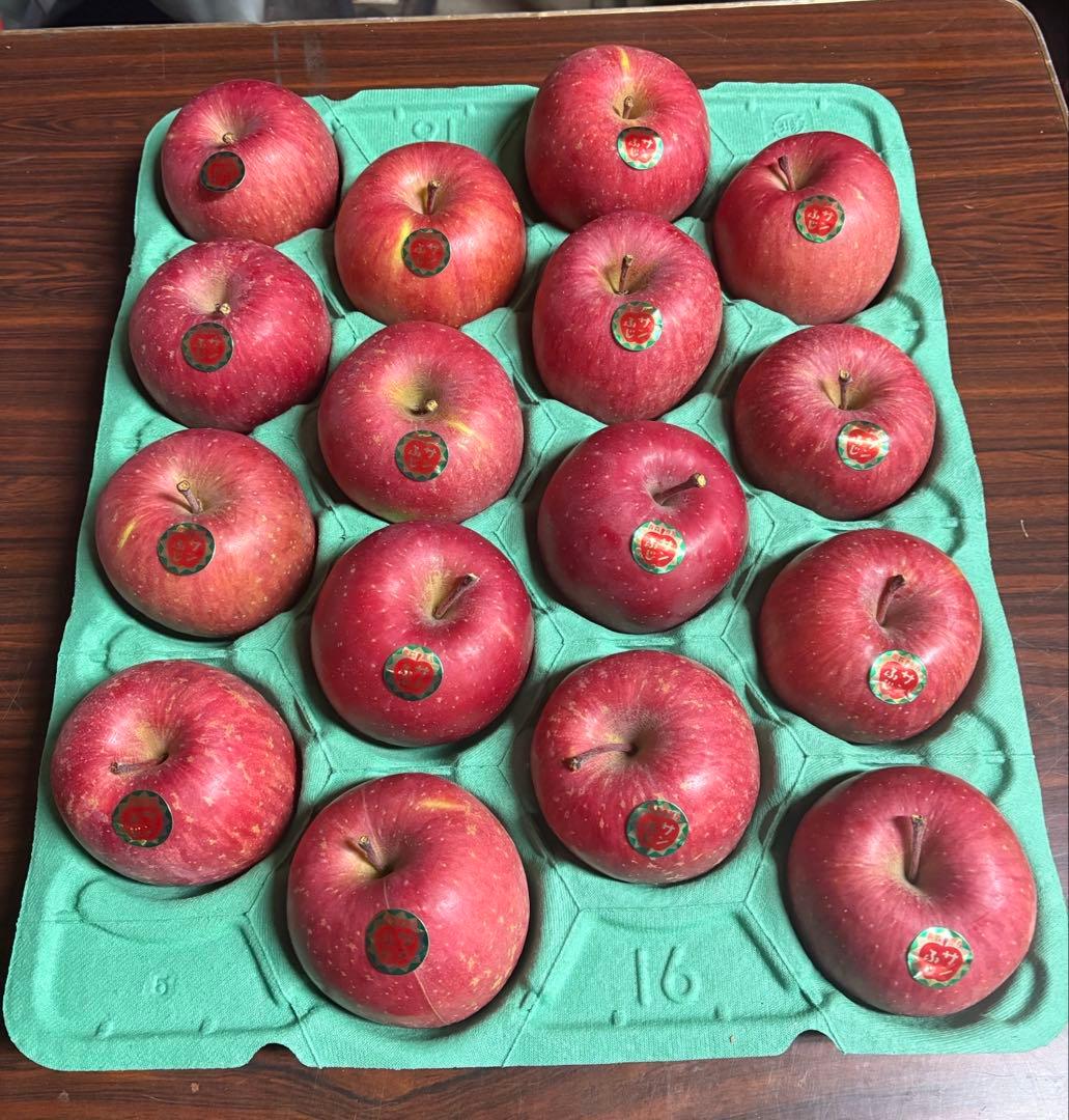 青森県産　減農薬栽培　サンふじ10キロ贈答品