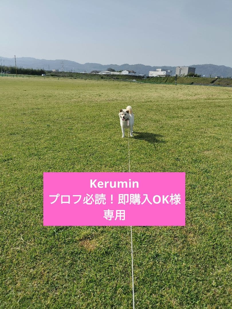 Kerumin プロフ必読！即購入OK　虹のきらめき