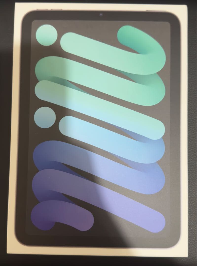 iPad mini (第6世代) 64GB Wi-Fi