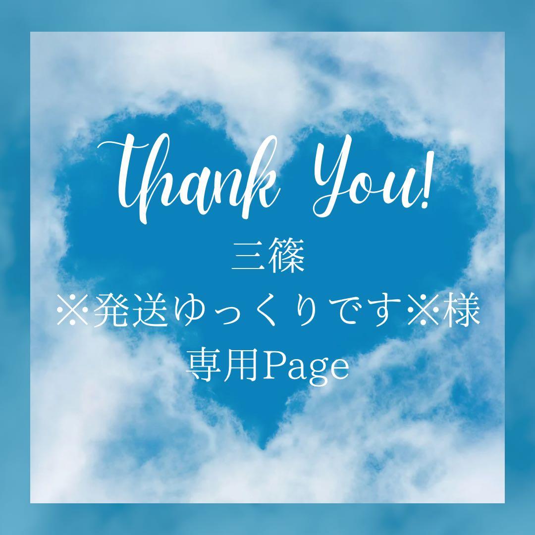 三篠　※発送ゆっくりです※様＊専用　ありがとうございます＊.