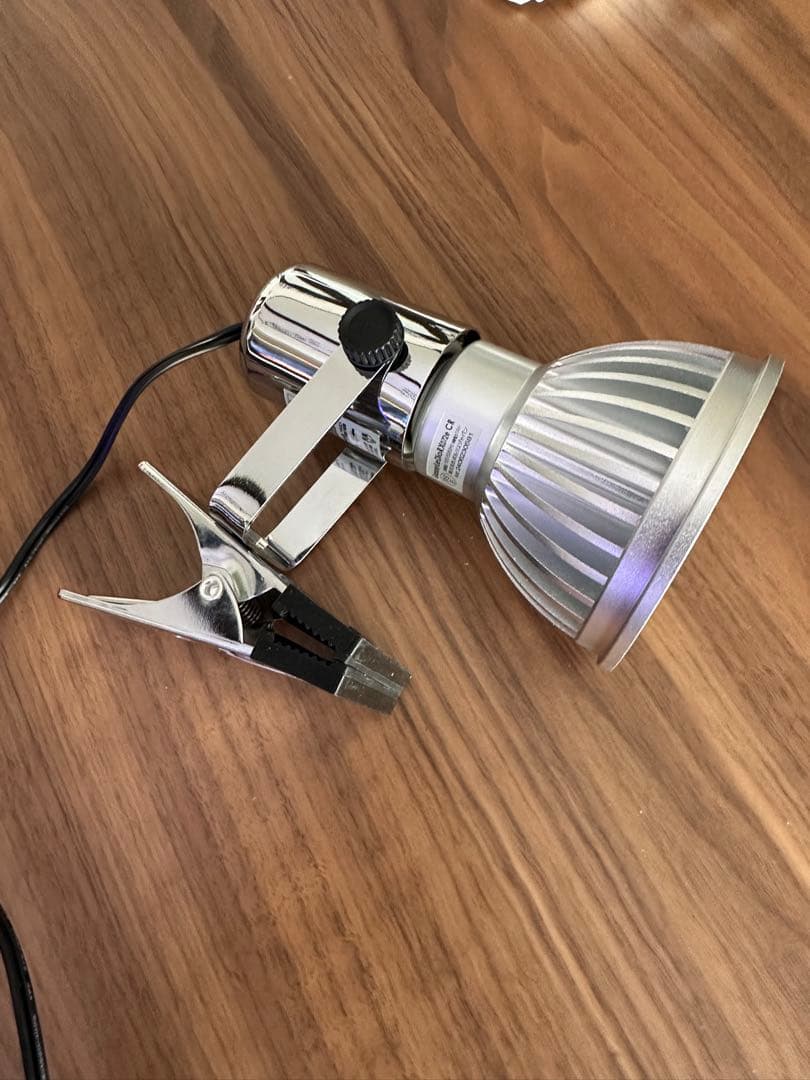 Grassy LeDio RX072e Coral グラッシーレディオ