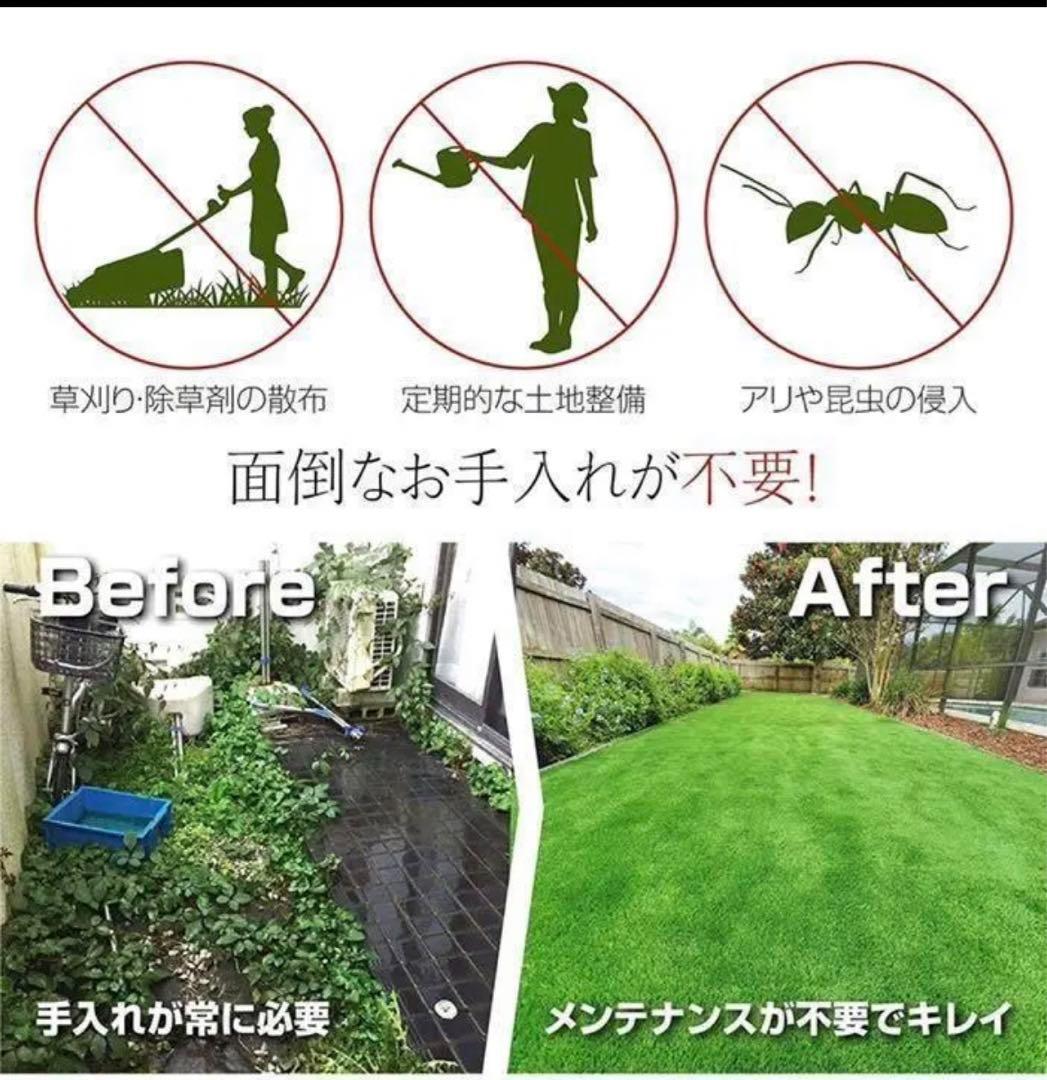 人工芝 ロール リアル 1m×20m 芝丈35mm 密度2倍固定ピン付き