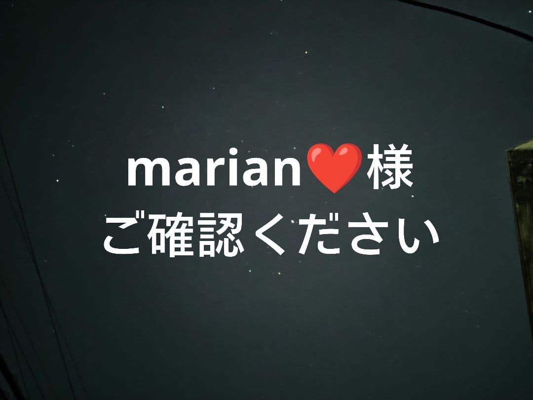 marian様 カスタマイズ
