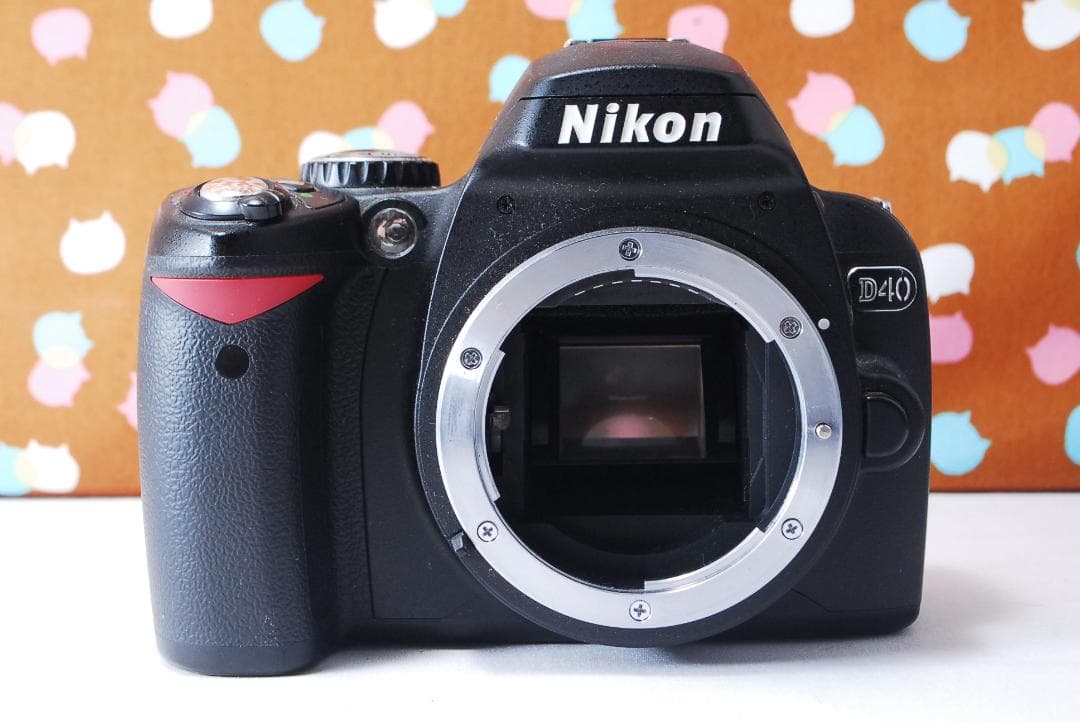 ✨望遠レンズ付き✨ショット数3295回✨Nikon D40 レンズセット