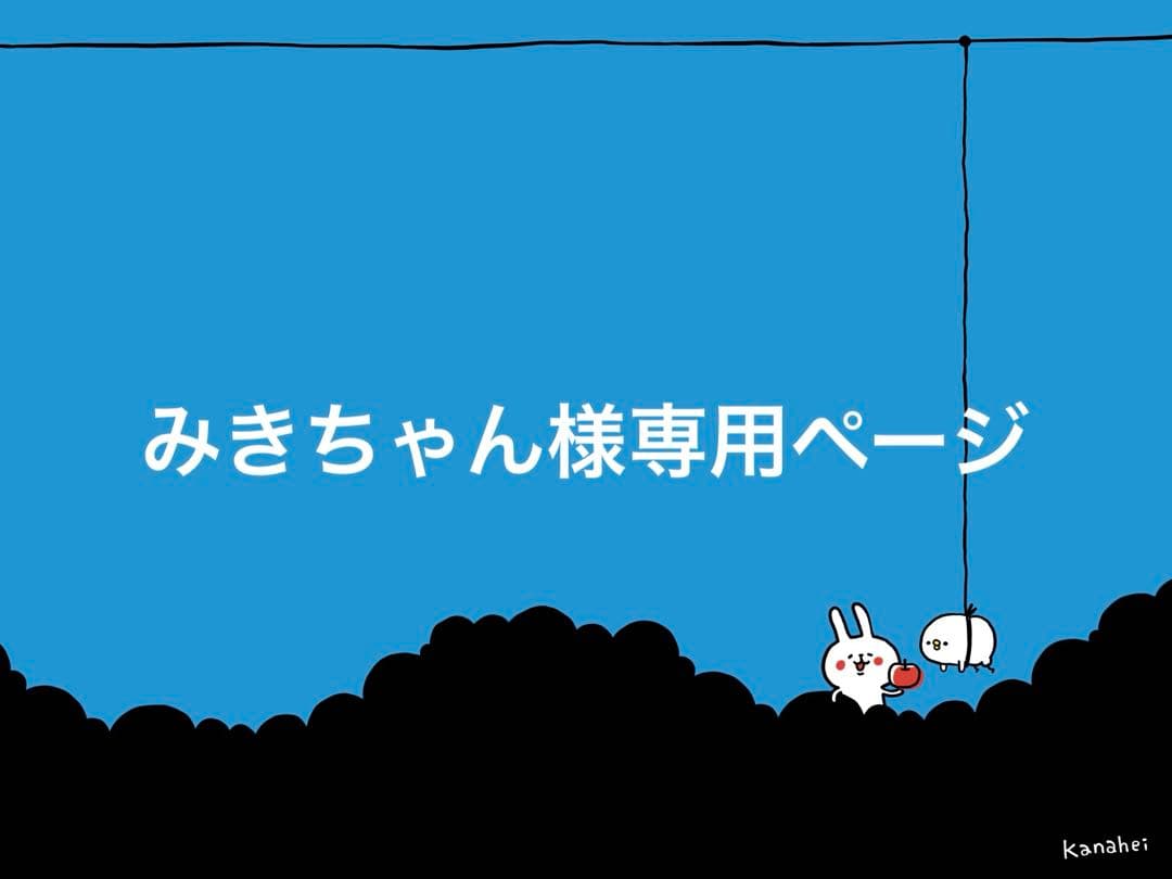 みきちゃんページ