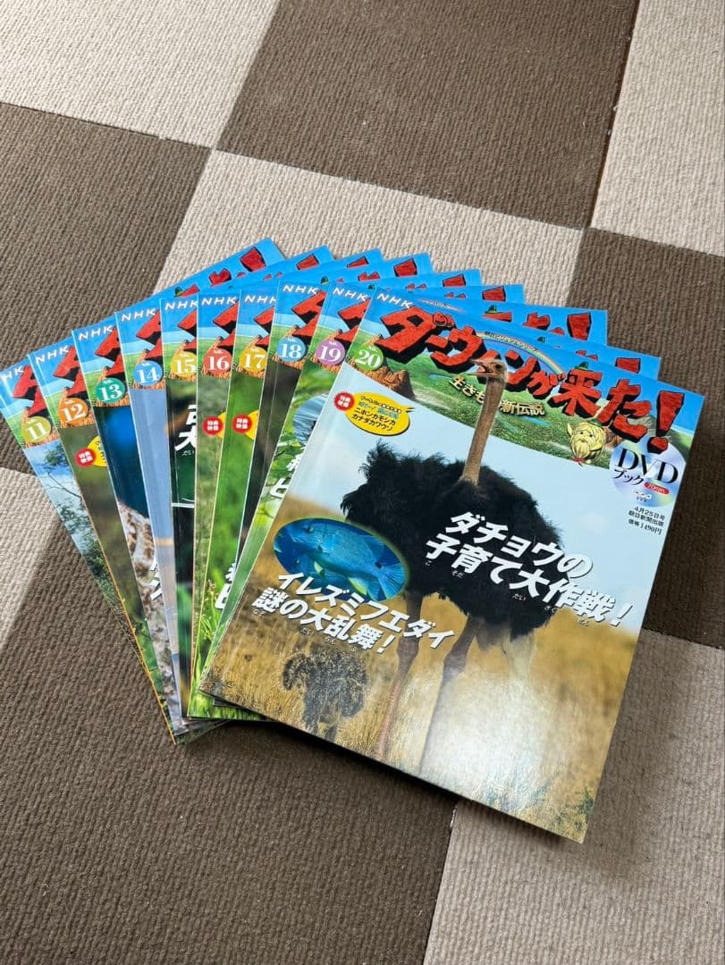 NHK　ダーウィンが来た　DVDセット47巻セット