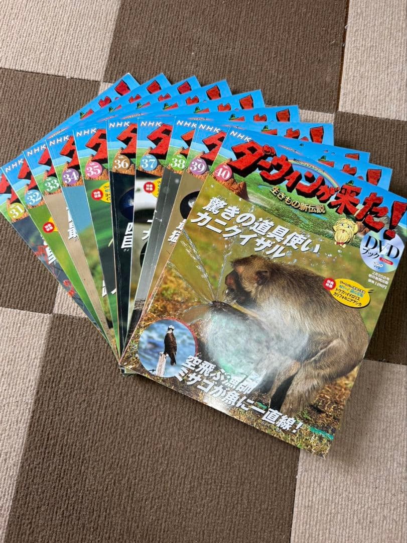 NHK　ダーウィンが来た　DVDセット47巻セット