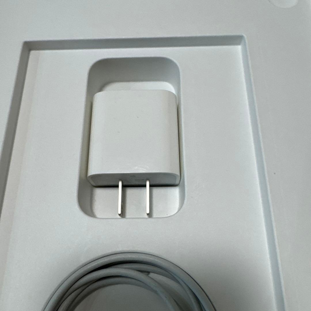 iPad Pro11インチ　第一世代256GB