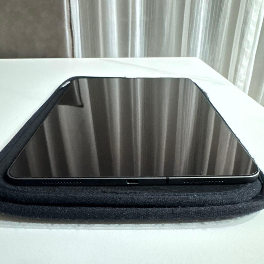 iPad Pro11インチ　第一世代256GB