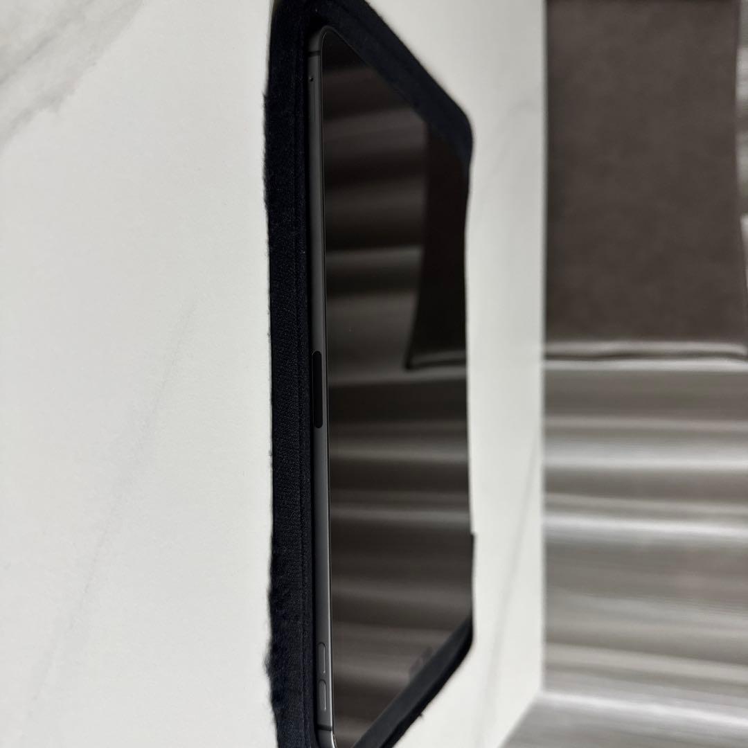 iPad Pro11インチ　第一世代256GB