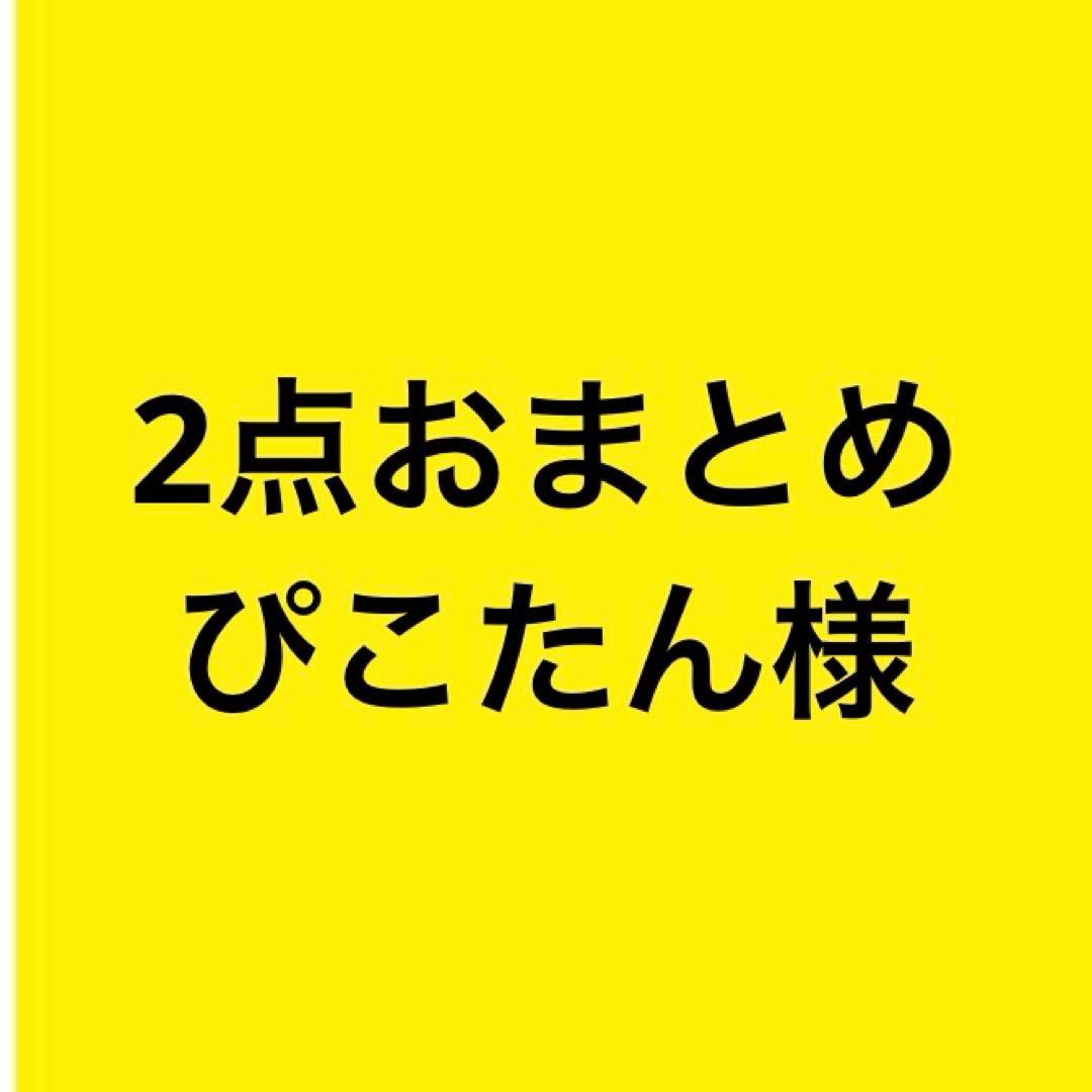 ぴこたん様　2点おまとめ