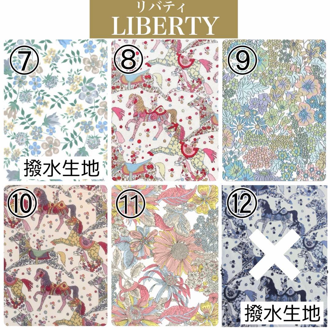 ピコタンPM アマソナ28 バッグインバッグ　リバティ